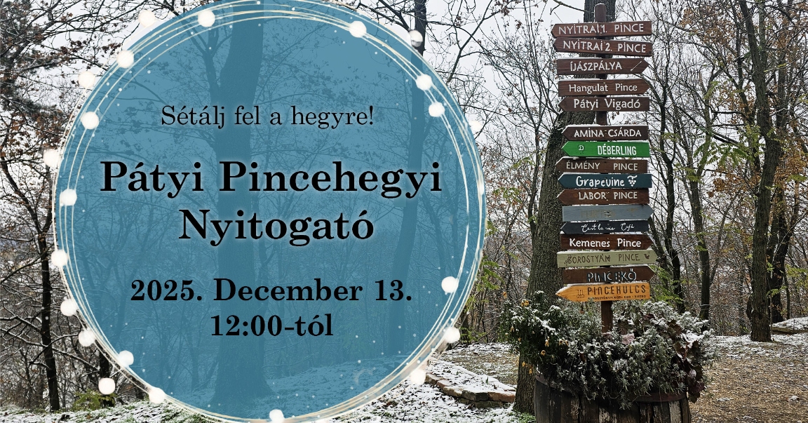 Decemberi Pátyi Pincehegyi Nyitogató (1)