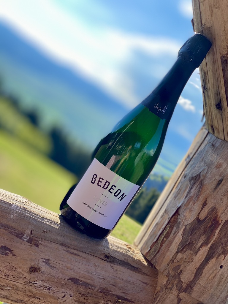 FD81B0C7-DD0F-4F82-B55A-AD0C8734D243_1_105_c