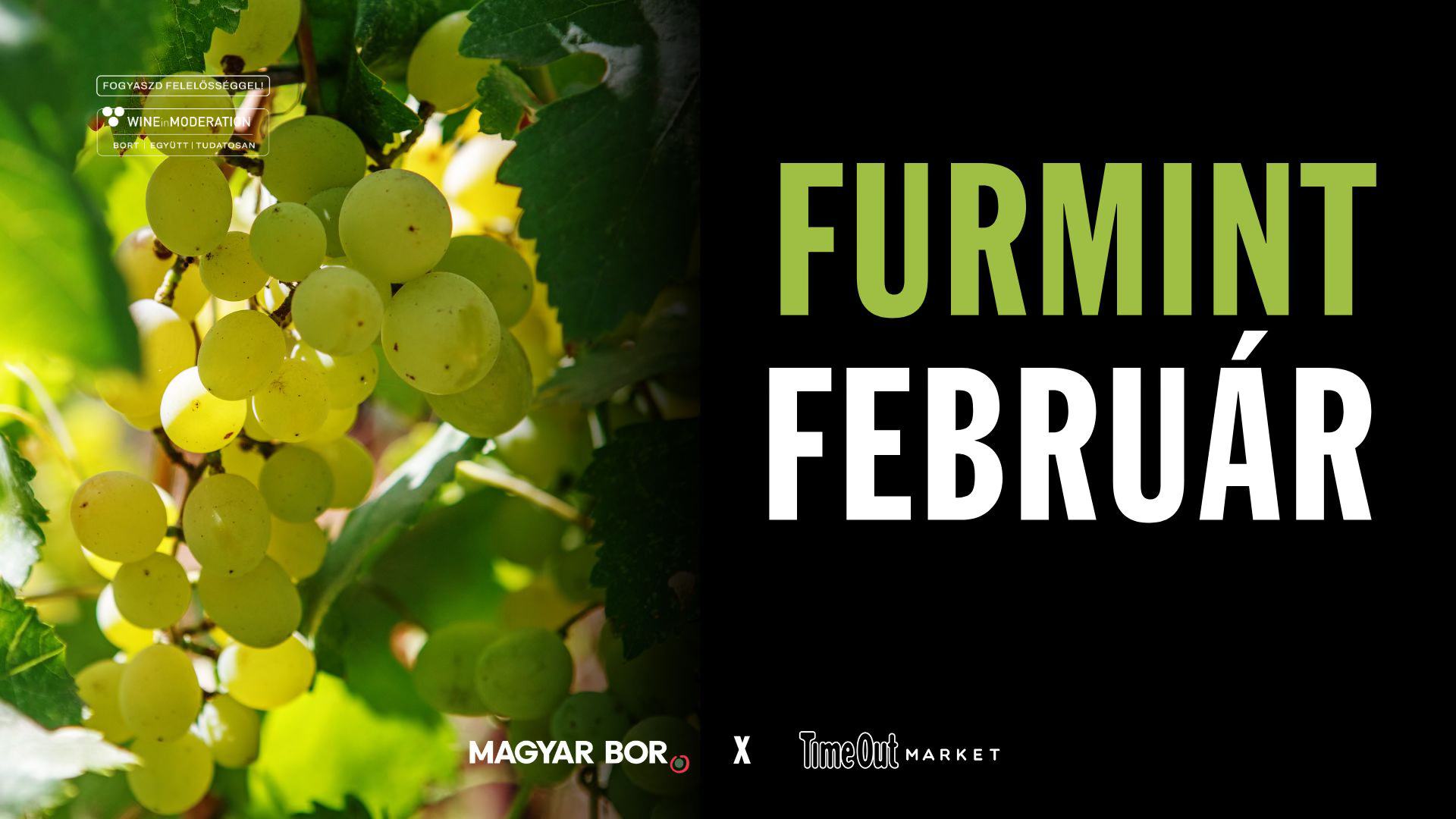 613152755_122259627494249490_2205587971049564692_n