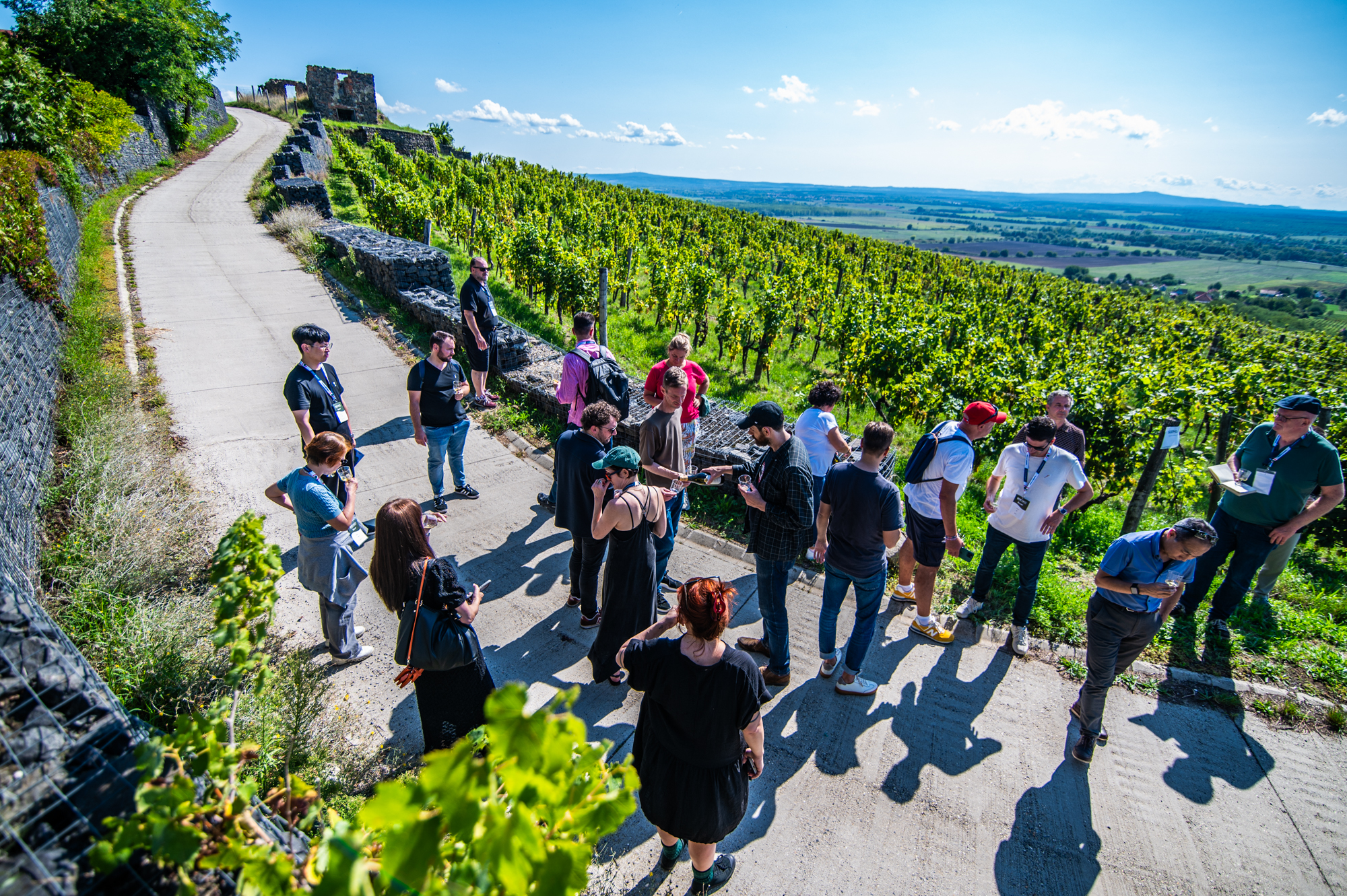 HWS 2026 cikk borító