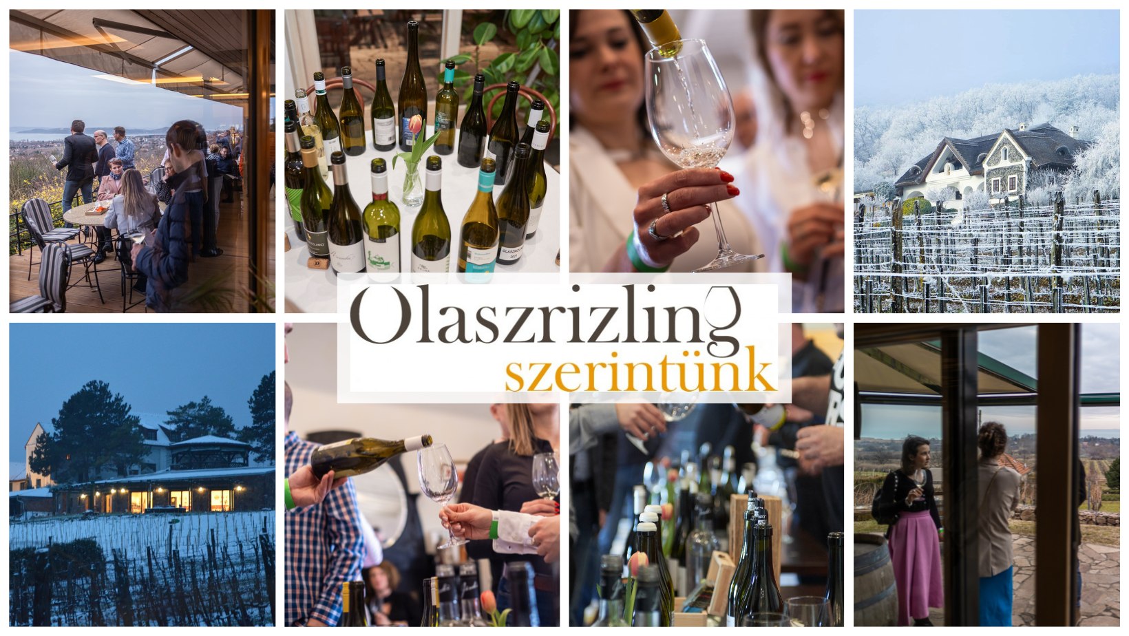 Olaszrizling Szerintünk 2026