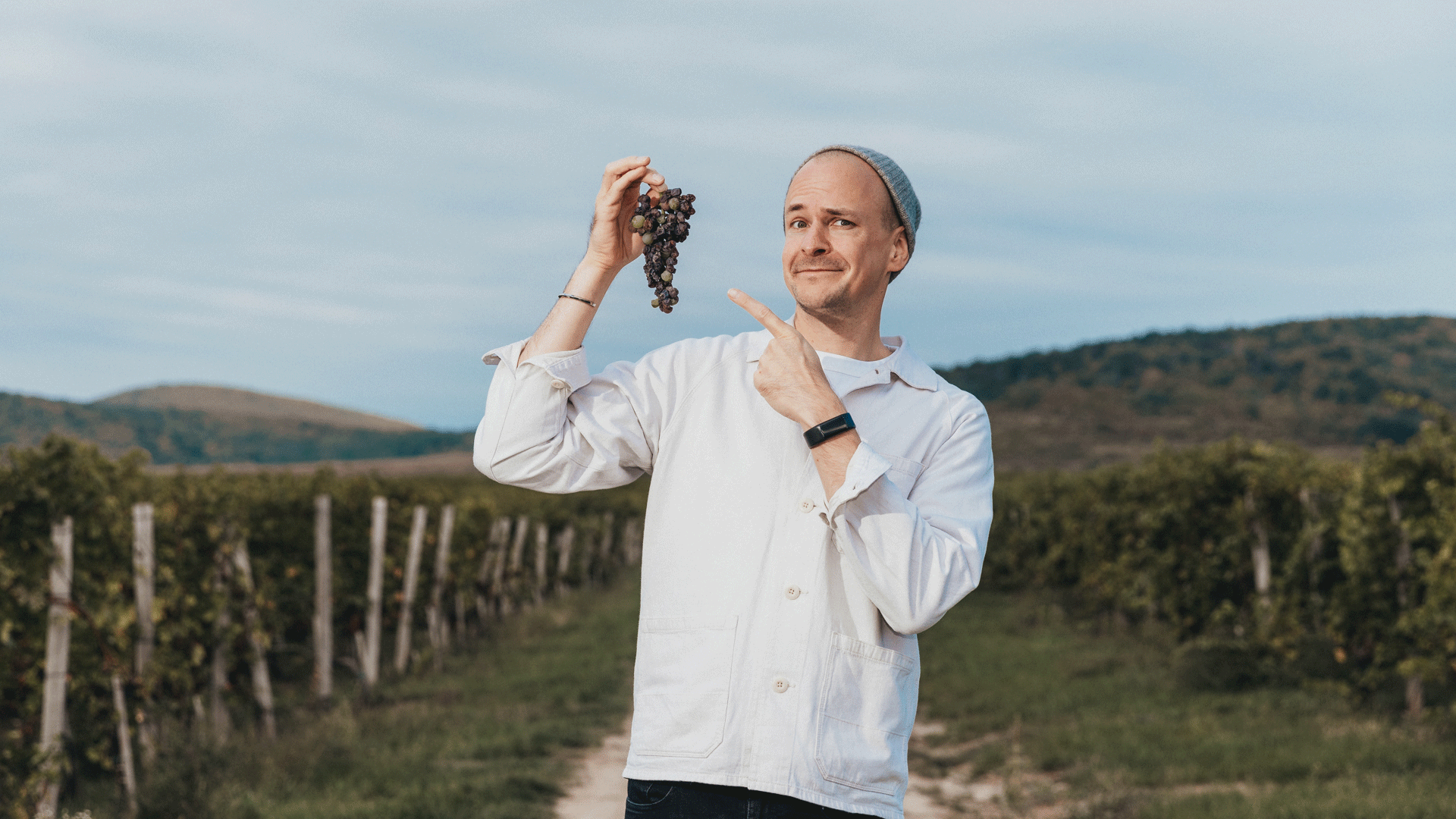 BAUM-my-top-three-wines