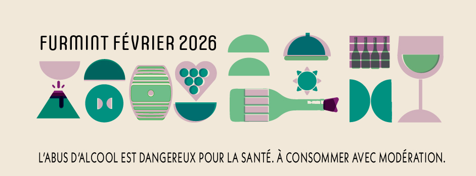 KIT FF 2026FB BANNER FF 2026 copie 3-100