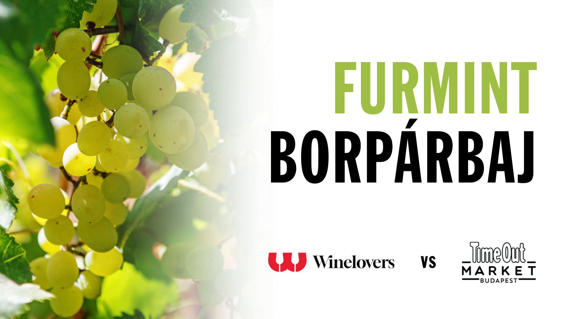 Winelovers vs Time Out Market – Furmint Borpárbaj