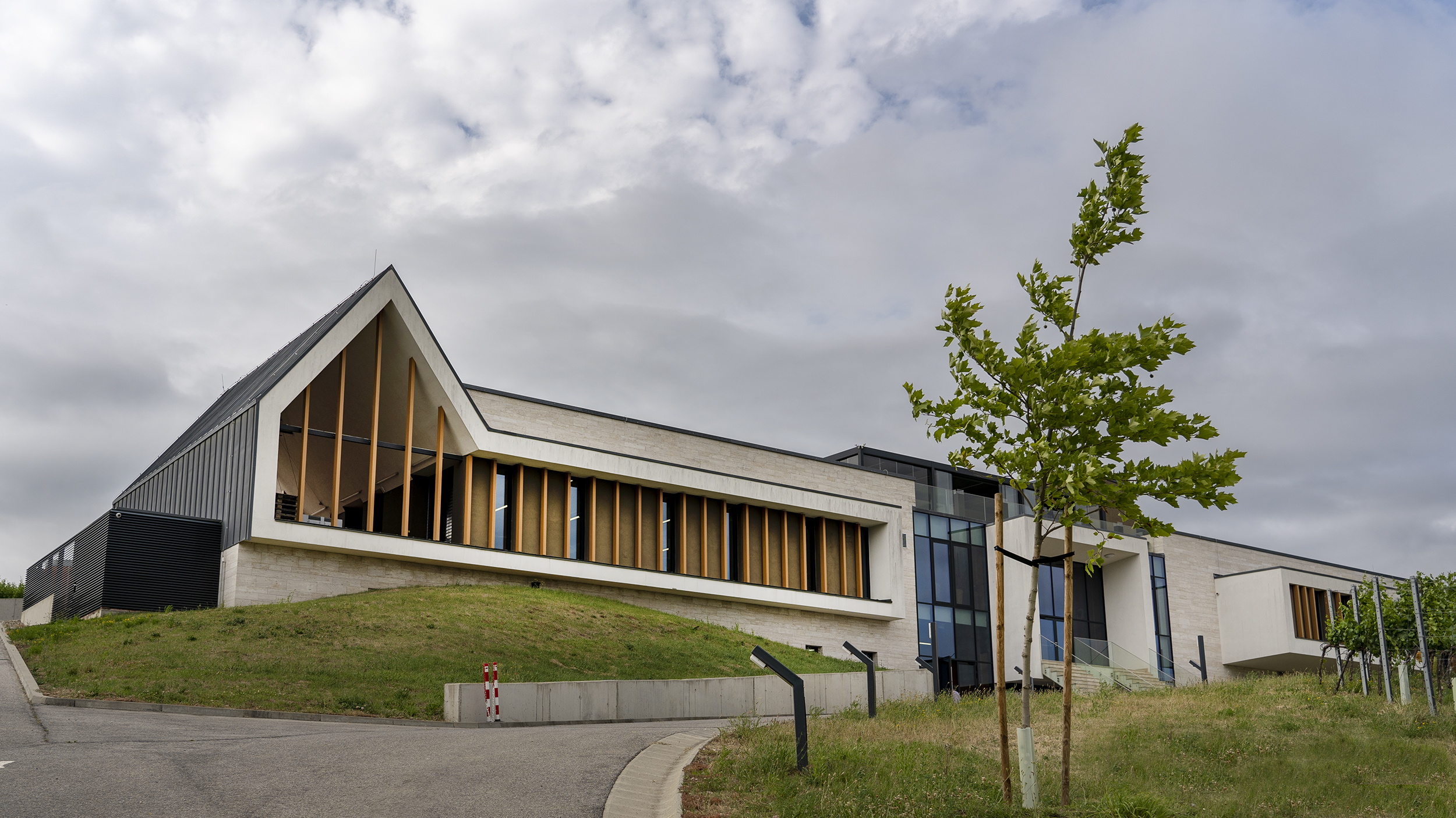 Világi-Winery-_ZSU0415v