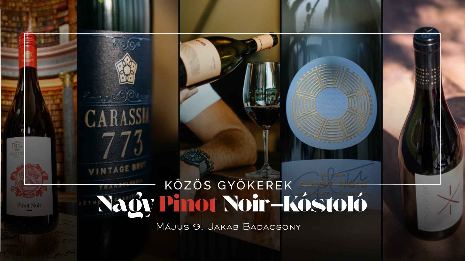 Nagy Pinot Noir Kóstoló