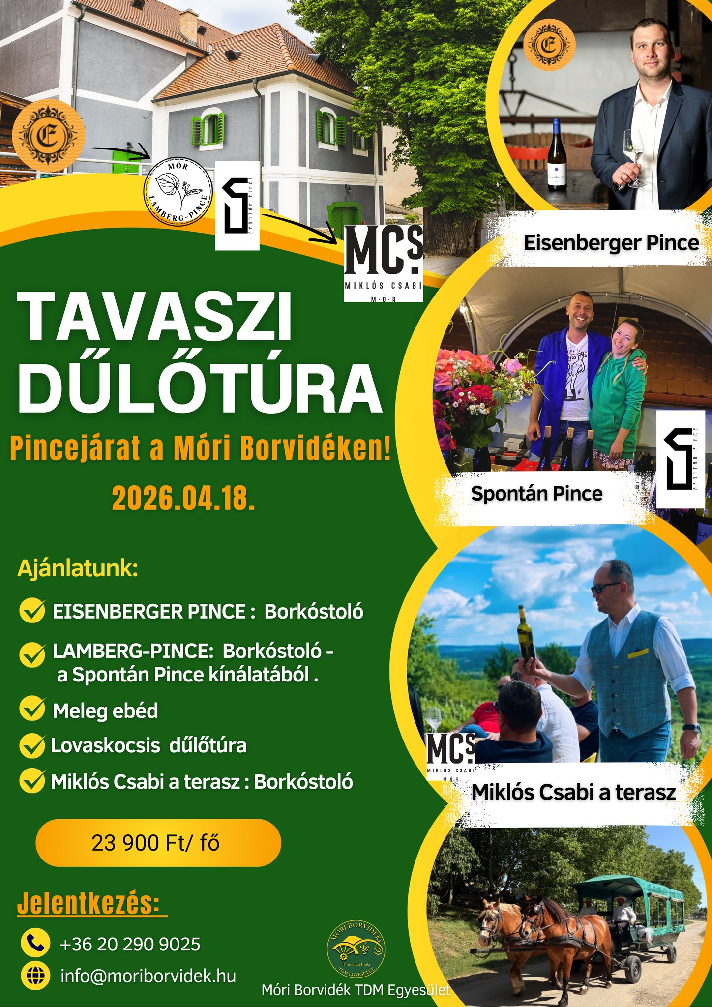 Tavaszi dűlőtúra Móron (1)