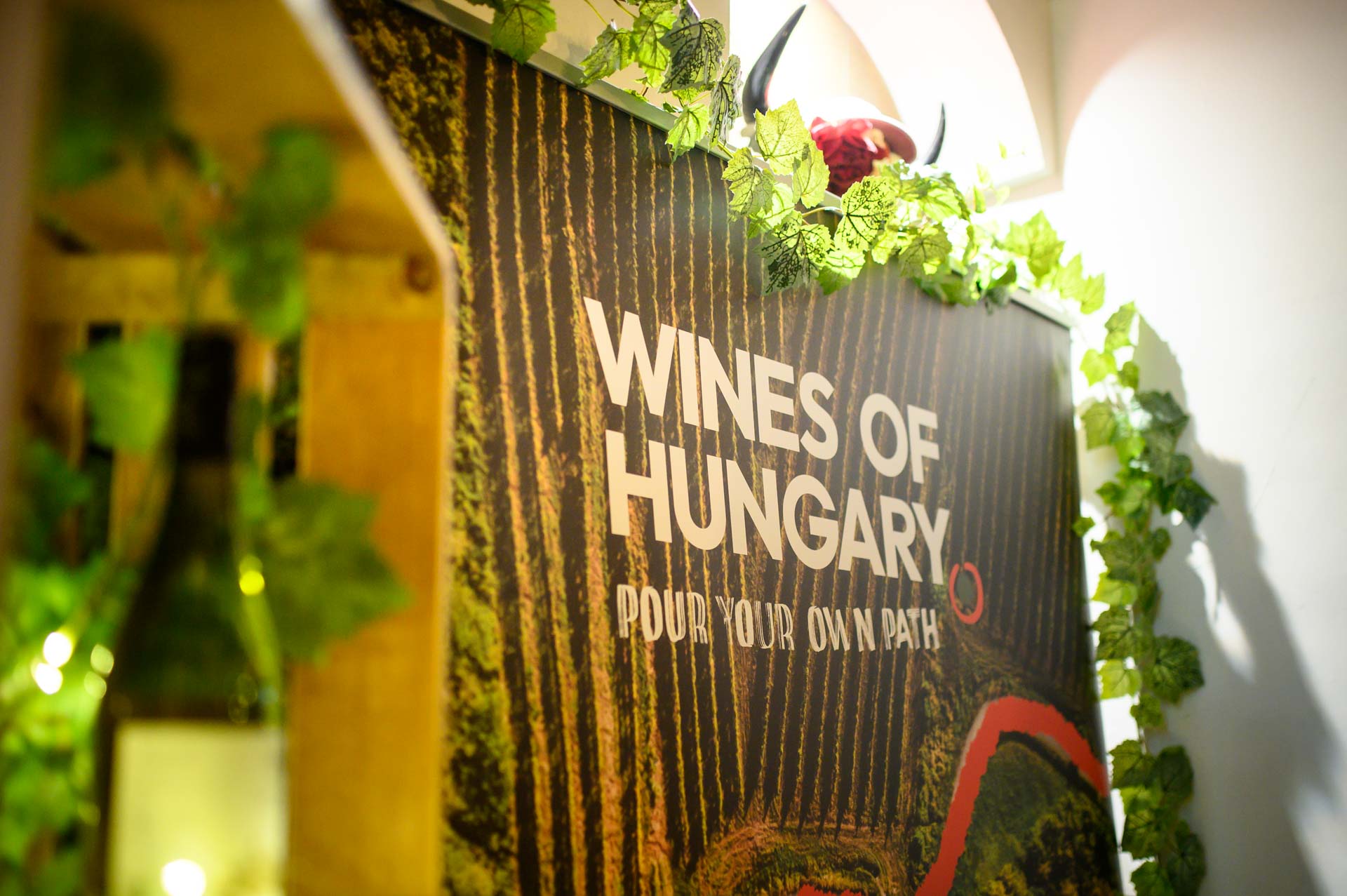 wines-of-hungary-48