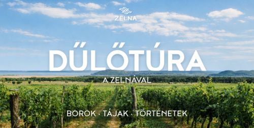 dt_bor.hu_ (1)