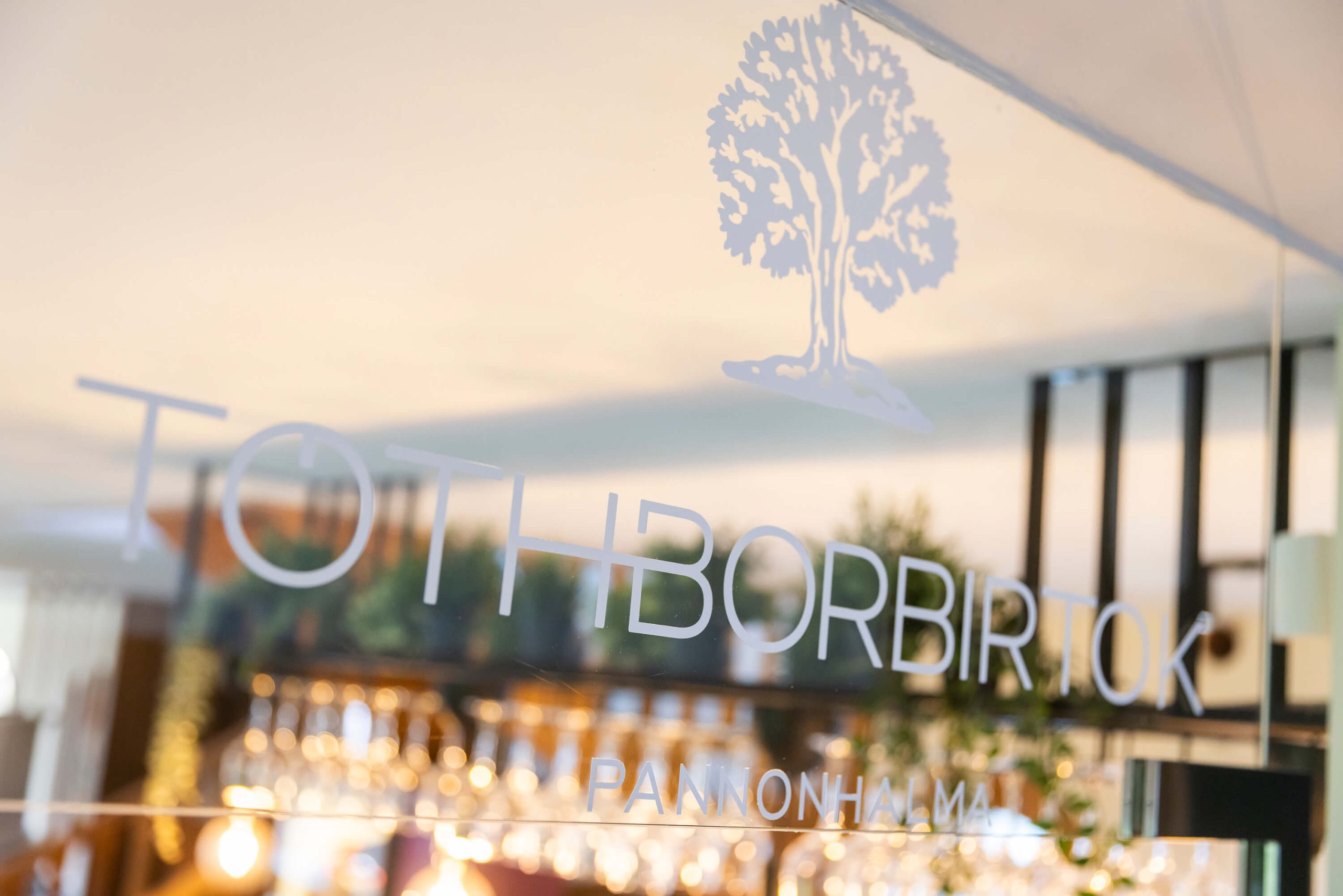 toeth-borbirtok-image-43-1 (1)